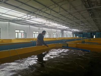 【产业援疆】南疆首家工厂化循环水养殖基地在新和县投入试运行
